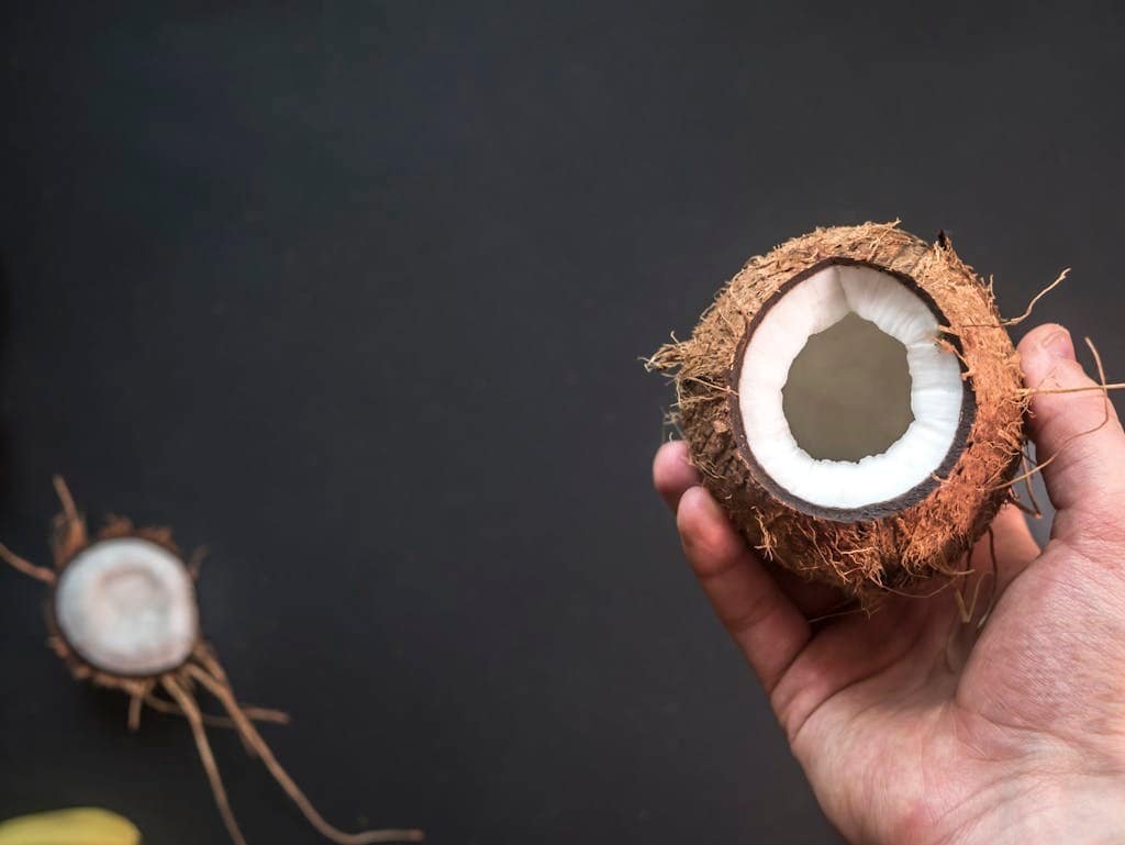 A freshly opened coconut held in hand against a black background, showcasing its natural beauty and texture.